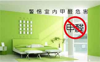 什么东西吸甲醛最好？盘点生活中常见的除甲醛