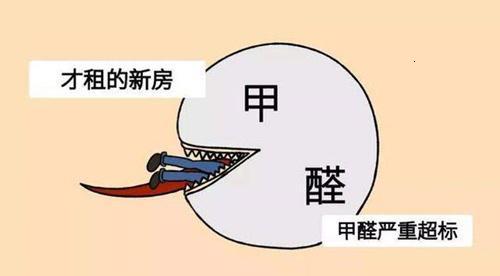 花都除甲醛公司