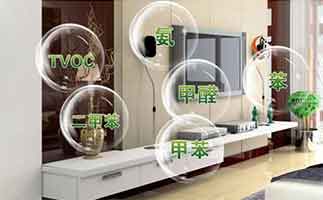 科学去甲醛的最好办法只有这几个？